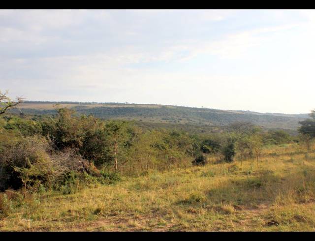 367HA FARM FOR SALE IN KOMGA